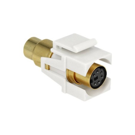 Delock Keystone module