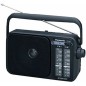 Panasonic RF-2400DEG Privat radio Sort