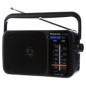 Panasonic RF-2400DEG Privat radio Sort