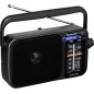 Panasonic RF-2400DEG Privat radio Sort