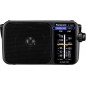 Panasonic RF-2400DEG Privat radio Sort