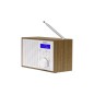 DENVER DAB-46 DAB bærbar radio Brun Hvid