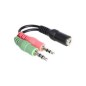Delock Lyd adapter