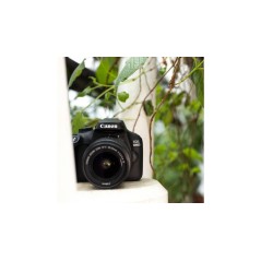 Canon EOS 4000D 18 Digitalkamera med EF-S 18-55 mm DC III objektiv - Perfekt til Begyndere og Fotointeresserede!