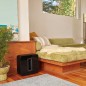 Sonos SUB Subwoofer Sort
