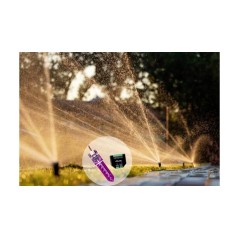 Shelly Plus Add-On Interface til Smartrel – Optimer Dit Smart-Hjem med 3800235266427!