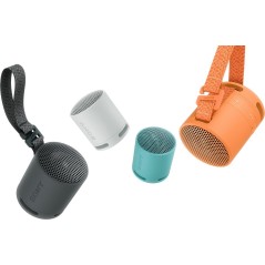 Sony SRS-XB100 Højttaler Sort
