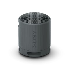 Sony SRS-XB100 Trådløs Bluetooth-Højttaler - Sort | Kraftfuld Lyd & Kompakt Design (Varenr. 4548736146129)