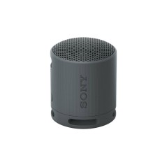 Sony SRS-XB100 Trådløs Bluetooth-Højttaler - Sort | Kraftfuld Lyd & Kompakt Design (Varenr. 4548736146129)