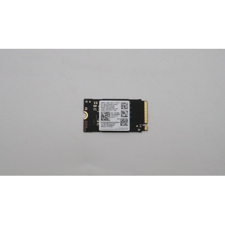 Lenovo Samsung PM991A 256GB SSD - Hurtig og Pålidelig Opbevaring | 5SS0Z86692