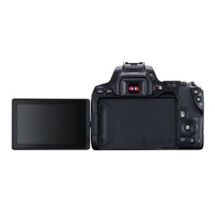 Canon EOS 250D - 24,1 Megapixel Sort Digitalkamera | Fantastisk billedkvalitet og brugervenlighed!