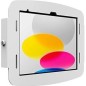 Compulocks iPad 10.9 10th Gen Space Enclosure Wall Mount Tablet Indelukke Compulocks iPad 10.9 10th Gen Space Enclosure Wall Mount Tablet Indelukke
