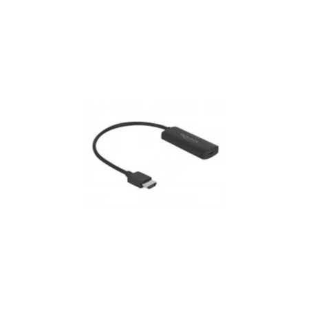 Delock Videoadapter 24cm Sort