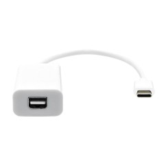 ProXtend USB-C to Mini DP 20cm White Adapter - High-Quality Connectivity Solution (USBC-MINIDP-0002)