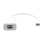 ProXtend USB-C to Mini DP 20cm white ProXtend USB-C to Mini DP 20cm white