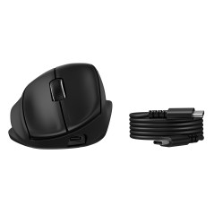 HP Tilt Ergonomic 725M Tilt