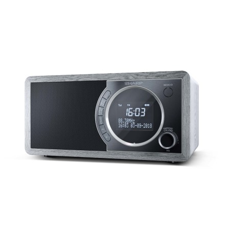 Sharp Digital Radio Grey DR-450(GR) – Digital radio