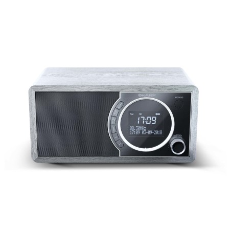 Sharp Digital Radio Grey DR-450(GR)
