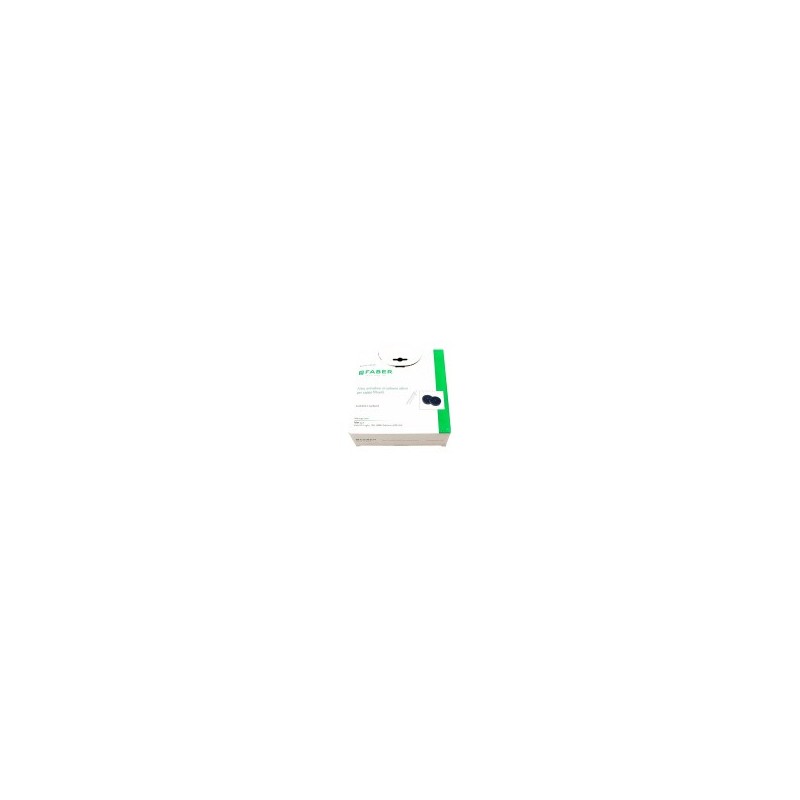 F8 Kulfilter 2 stk. F8 Kulfilter 2 stk.