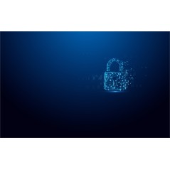 Kingston Ironkey Vp50 Usb Flash Drive IKVP50C/32GB