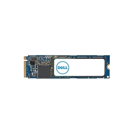 Dell Internal Solid State Drive AC037409