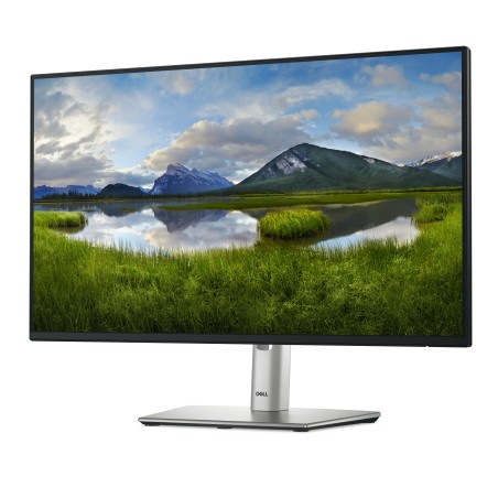Dell P2425H 24 IPS 1920 x 1080 (Full HD) VGA (HD-15) HDMI DisplayPort 100Hz