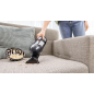 Bosch Flexxo BBH3ZOO28 ProAnimal Støvsuger 0.4liter Rød