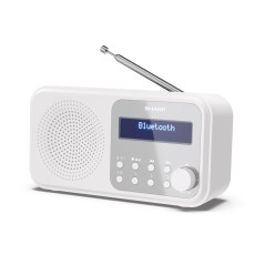 Sharp TOKYO Portable Digital Radio