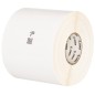 Zebra LABEL, POLYPROPYLENE,