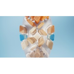 Philips HX909487 Tandbørstehoveder - Hvid | Effektiv Rensning & Stærkere Tandpleje