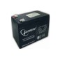 Gembird BAT-12V9AH UPS-batteri