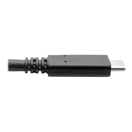 Eaton Usb-C Cable (M/M) - Usb 3,2,
