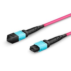 Lanview Fiber Patch Cable - 12 cores (LVO230405-MTP)