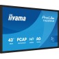 iiyama 43" All-In-One Interactive