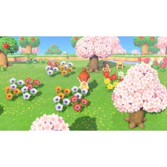 Animal Crossing New Horizons