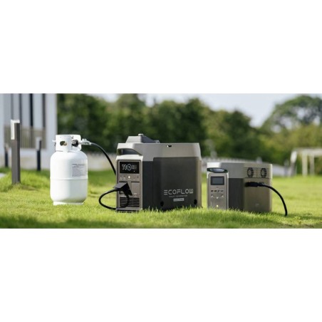 EcoFlow Smart Dual Fuel Udendørs generator Sort Grå