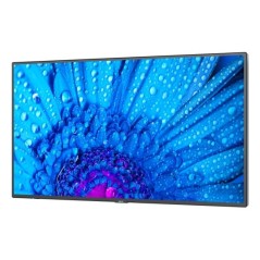 Sharp/NEC M981, 98" M Series LFD, UHD