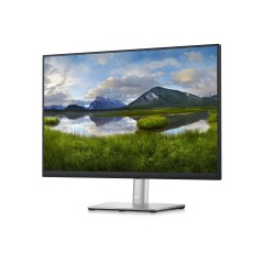 Dell P2423 - 61 cm 24" Skærm | Optimal Ydeevne og Skarp Opløsning | P2423