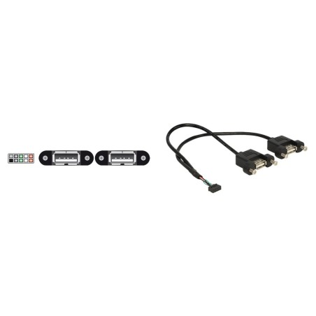 Delock USB intern til ekstern kabel 25cm Sort