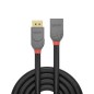 Lindy 0.5m DisplayPort Extension