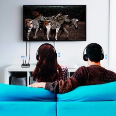 LogiLink AV Extender AV Transmitter BT0062 - Optimal Trådløs Lyd og Billedoverførsel