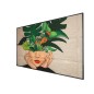 Philips 75" D-Line, UHD, 24/7 Philips 75" D-Line, UHD, 24/7
