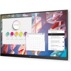 HP E24 G4 FHD No Stand Monitor