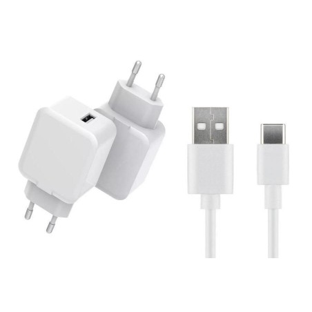 Kraftfuld CoreParts USB-oplader med 2 meter USB-C kabel - MBXUSB-AC0011