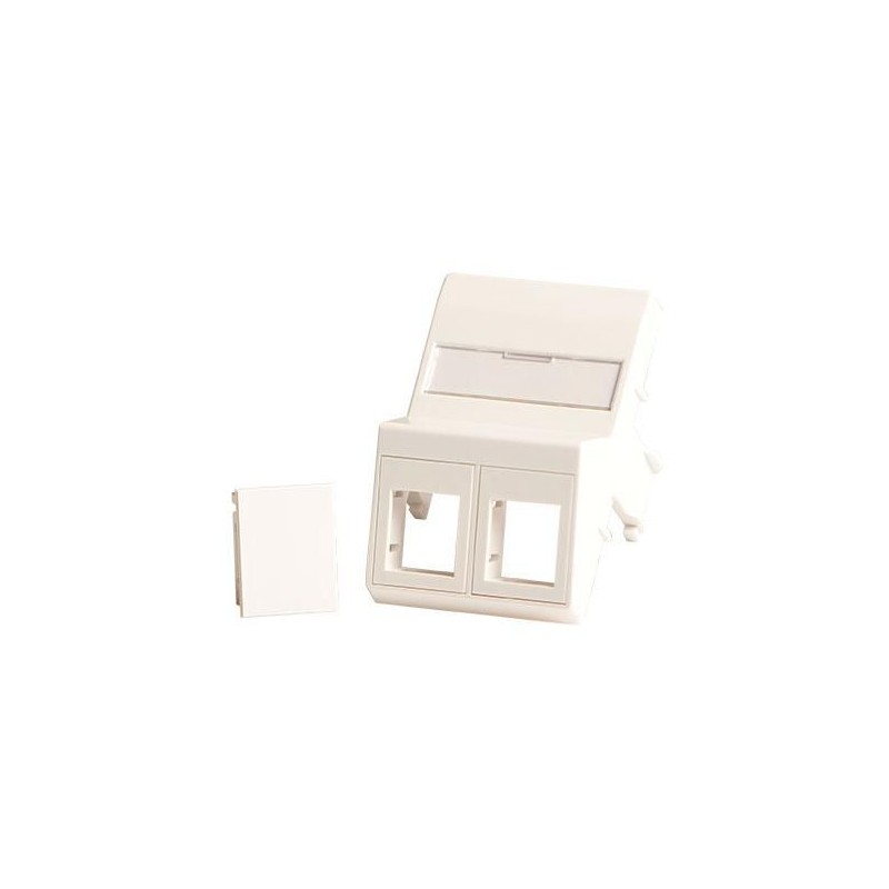 Lanview Wall plate, angled, 2 x