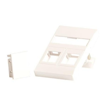 Lanview Wall plate for 2 x keystone.