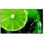 Sharp/NEC E498 49" Essential display,