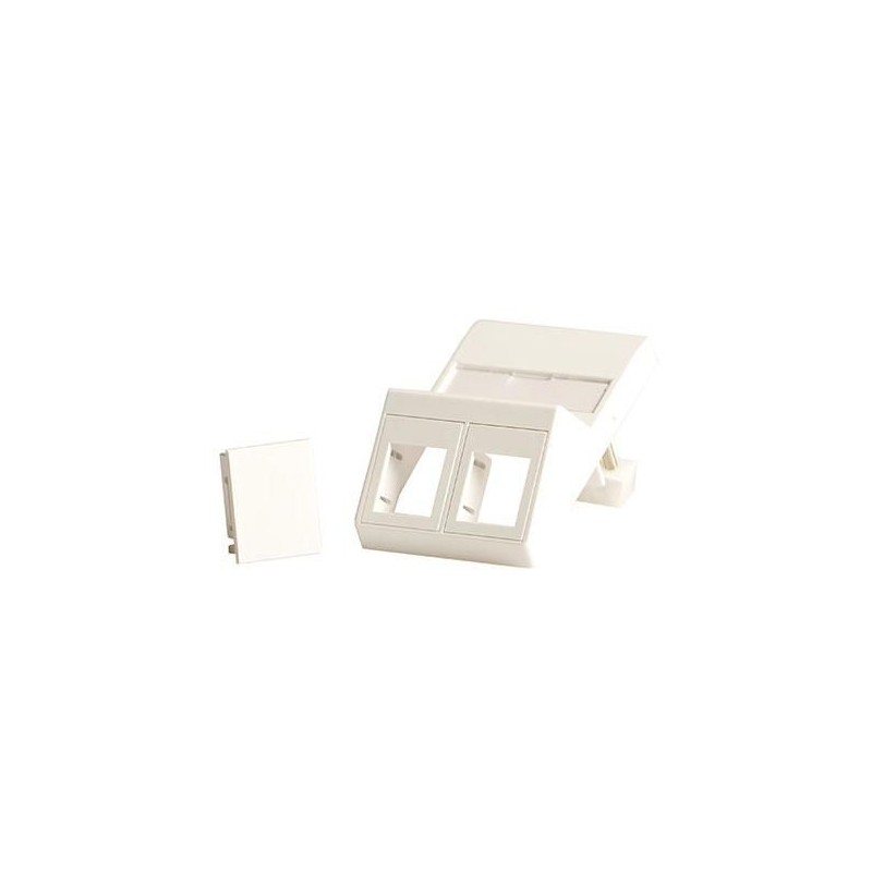 Lanview Wall plate, angled, for 2 x