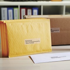 DYMO Transparent Address Labels