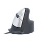 R-Go Tools HE Mouse Vertical Right, Large